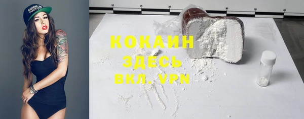 ECSTASY Покачи