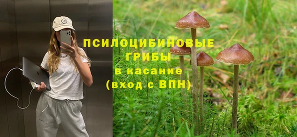дурь Алзамай