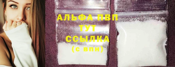 стафф Алексин