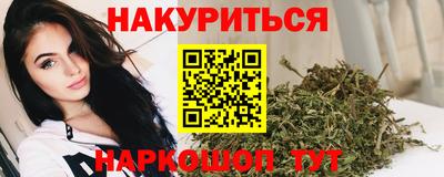 сатива Анжеро-Судженск