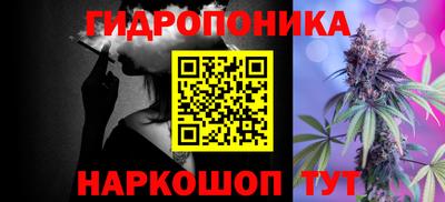 сатива Анжеро-Судженск
