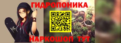 сатива Анжеро-Судженск