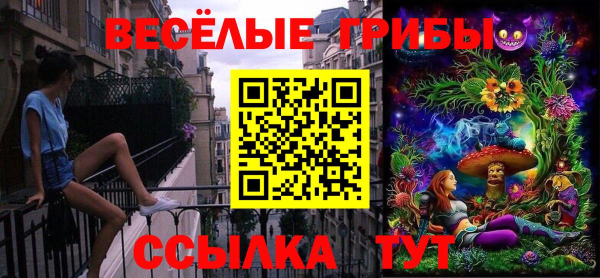 Галлюциногенные грибы прущие грибы Евпатория