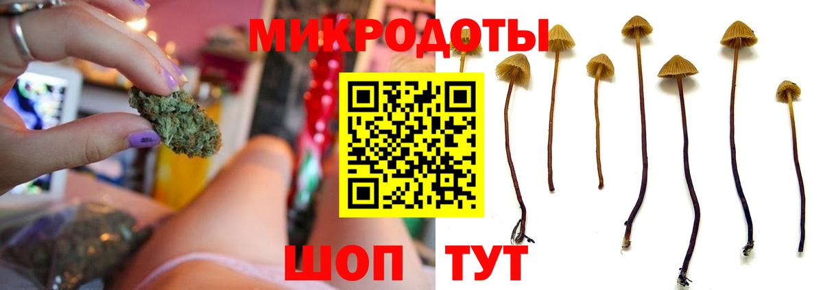 Евпатория  Псилоцибиновые грибы мухоморы  Вход с VPN 