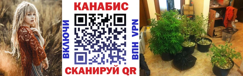 Каннабис гибрид  Евпатория 