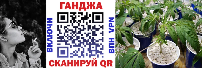 Бошки Шишки план Евпатория